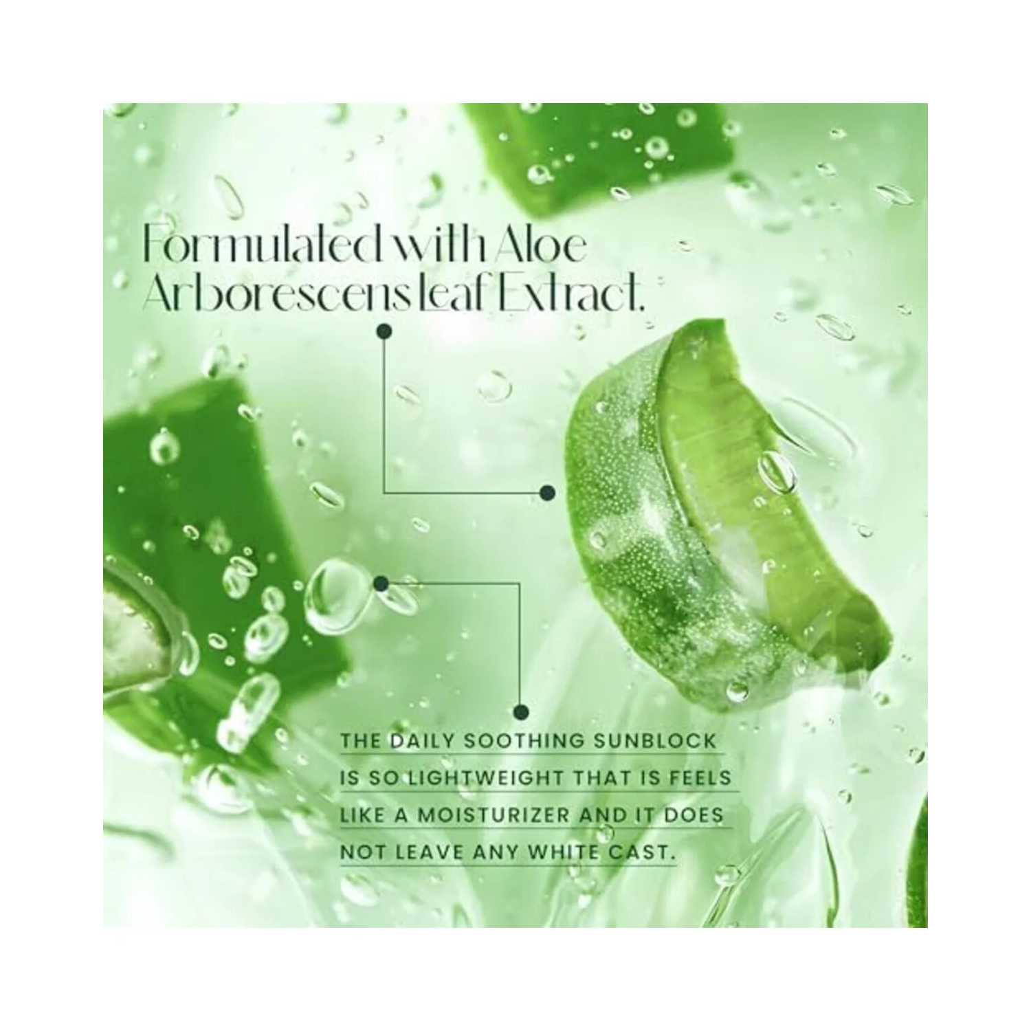 Cosrx Aloe Soothing Sun Cream SPF50 PA+++ 50 ML (Pack of 2)