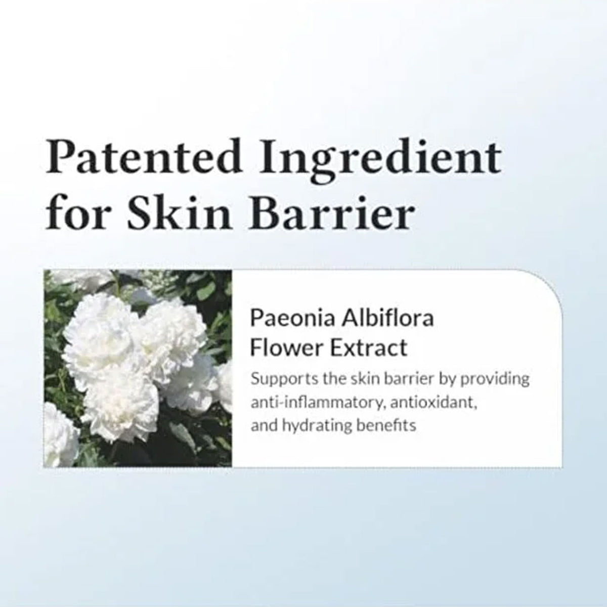 Dr. Althea Dr.Althea 147 Barrier Cream | Daily Skin Barrier Repair Care | Deep Hydrating with Hyaluronic Acid &