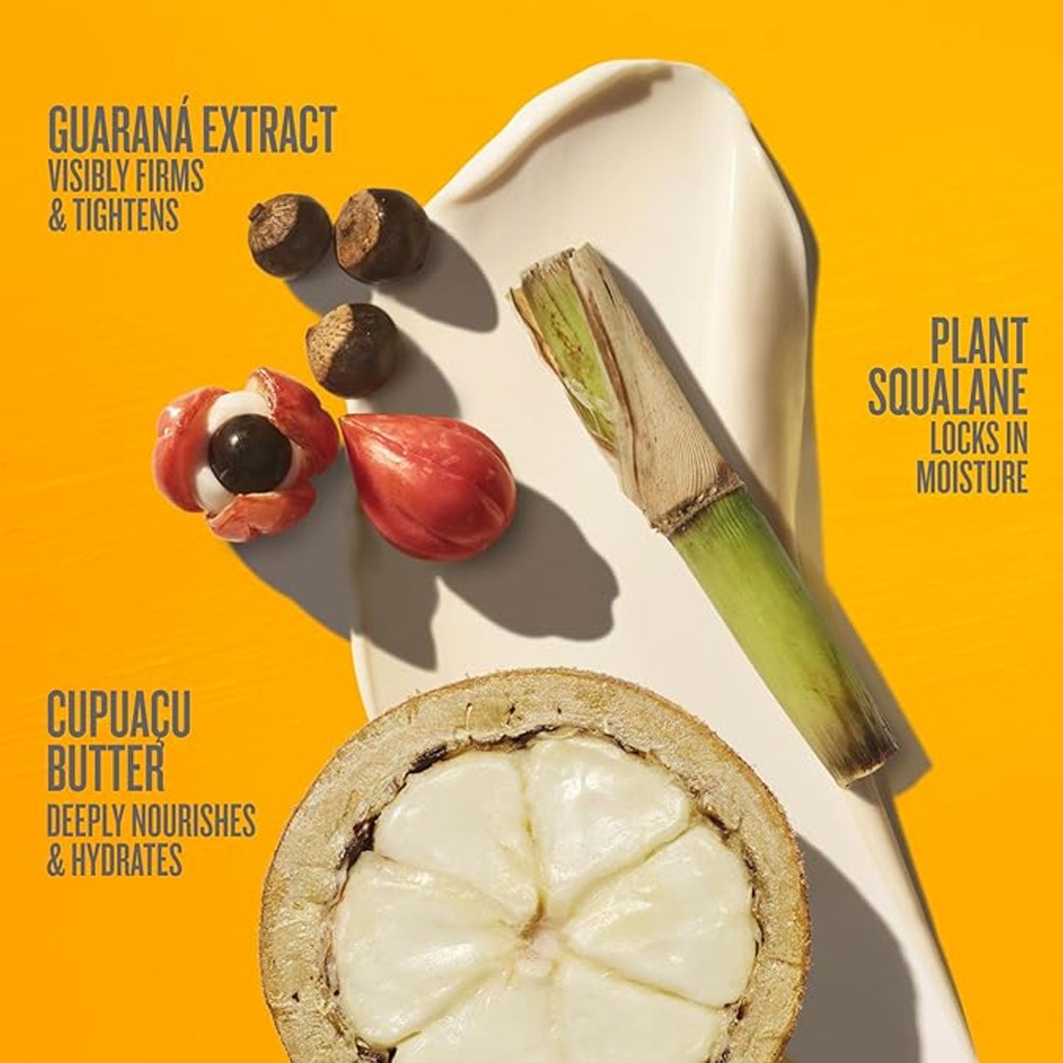 SOL DE JANEIRO - Brazilian Bum Bum Cream 240 ml (Pack of 1)